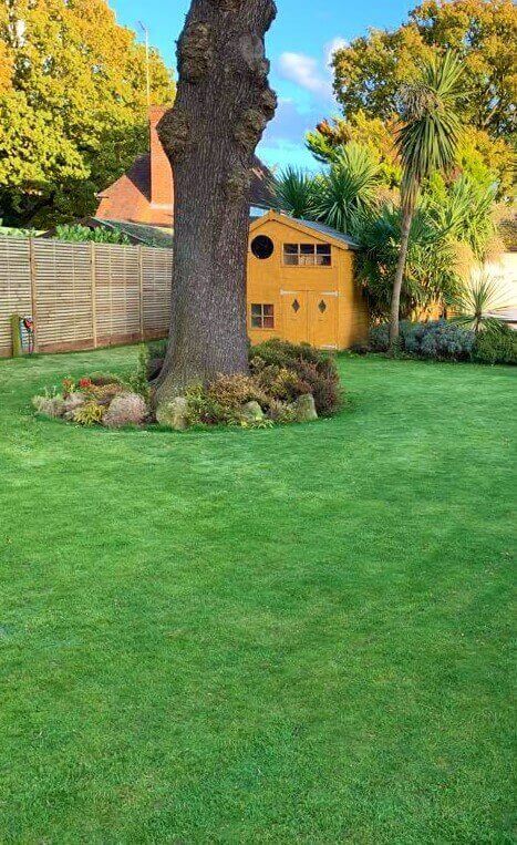 Lawn Turfing Company Honor Oak SE23